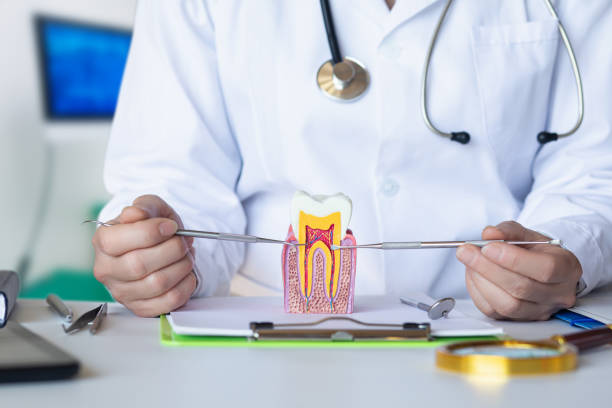 Best After-Hours Dental Trauma Care in Dobson, NC